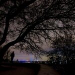 Munich: 3-Hour Culinary Nightwatch Tour - The Experience in Perspective