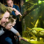 Munich: Day Ticket to Sea Life - The Marine Life Collection and Exhibits