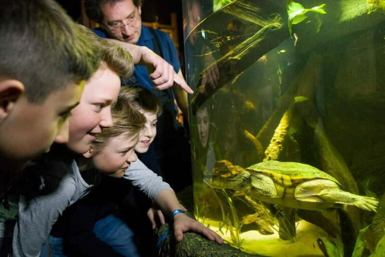 Munich: Day Ticket to Sea Life - The Marine Life Collection and Exhibits