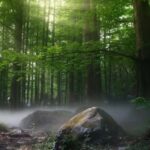 Munich: Königssee Day Tour with a Chinese Guide - What to Expect on Your Königssee Day Trip