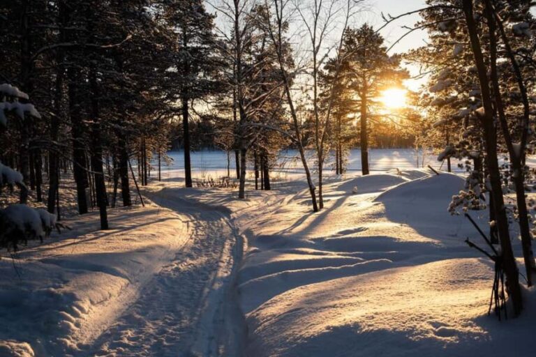 Muotkantunturi Park, Inari - Arctic Ski Discovery Hike - Experiencing Muotkantunturi Parks Arctic Ski Discovery Hike