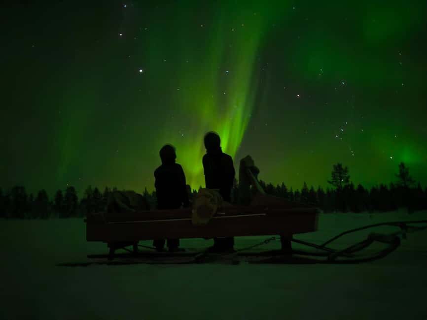 Muotkantunturi Park, Inari - Intense Northern Lights on a Lappish Sleigh - An In-Depth Look at the Experience
