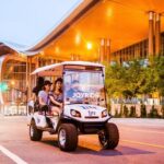 Murals of Nashville Instagram Tour by Golf Cart - Final Thoughts: Who Should Consider It?