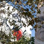 Murals XXL Street Art Tour - Practical Details and What They Mean for You