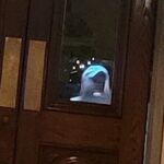 Murder & Mayhem Haunted History Walking Tour - Who Would Love This Tour?