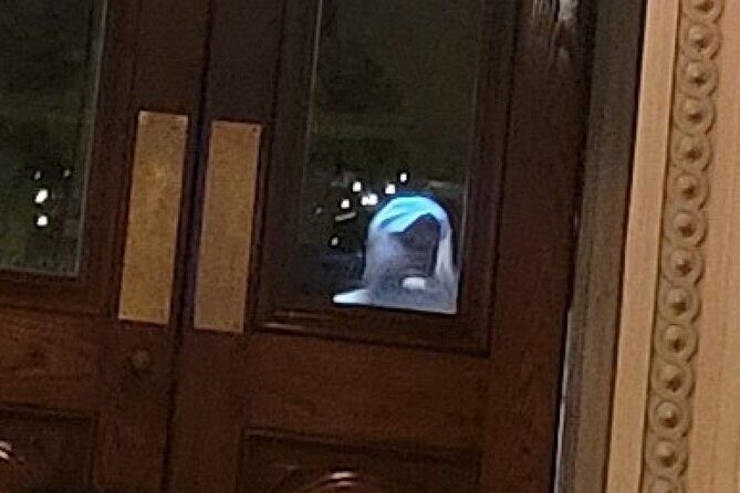 Murder & Mayhem Haunted History Walking Tour - Who Would Love This Tour?