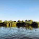 Murighiol: Danube Delta Guided Boat Tour - The Experience in Detail