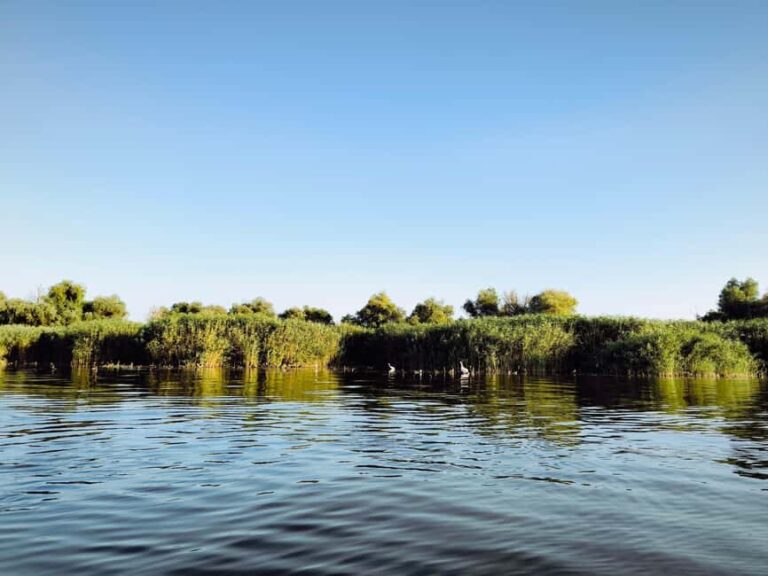 Murighiol: Danube Delta Guided Boat Tour - The Experience in Detail