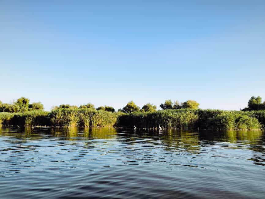 Murighiol: Danube Delta Guided Boat Tour - The Experience in Detail