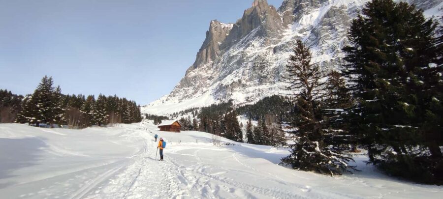 Mürren & Grindelwald: Snowshoe Tour with Raclette Picnic - Introduction: An Easy Escape into the Swiss Alps