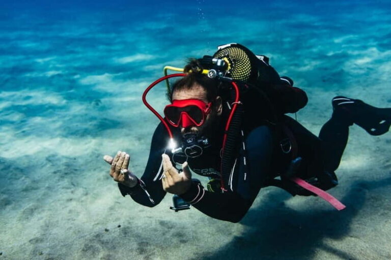 Museo Atlántico: Scuba Dive Lesson for Non-Certified Divers - What Is This Experience Really Like?