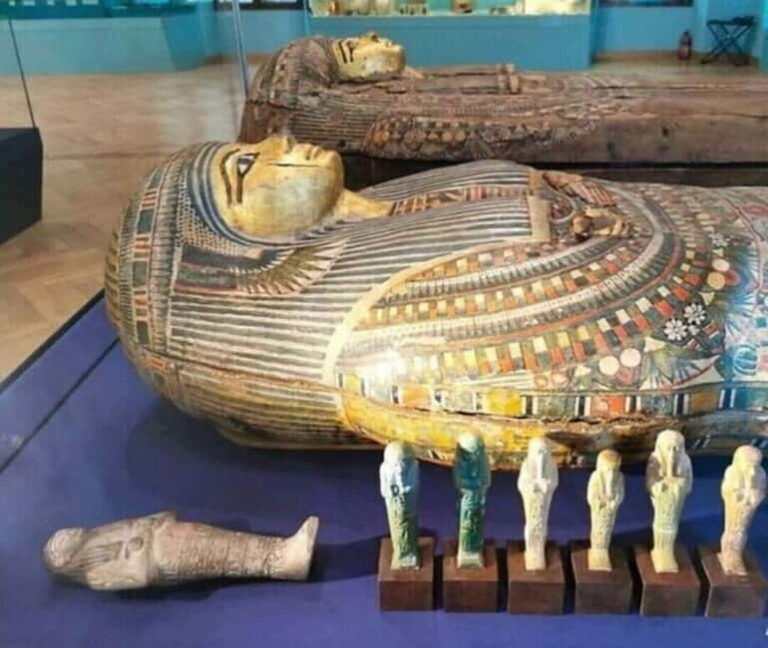 Museo Czartorisky : Visita in Lingua Italiana salta fila - Who Should Consider This Tour?