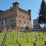 Museo delle Langhe Entrance Ticket - What You Can Expect from the Castle and Museum Experience