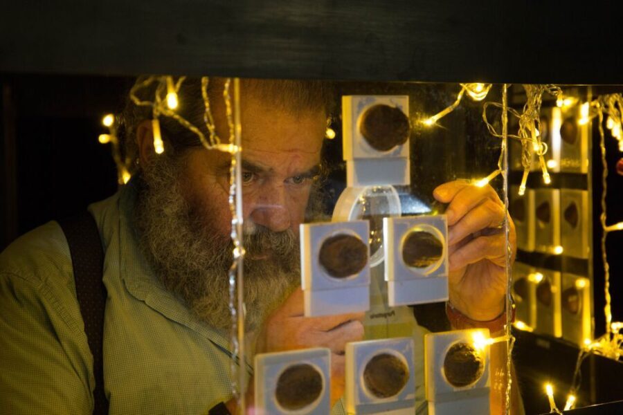 MuseodiNotte: food, wine and art in the heart of Naples - The Itinerary Breakdown