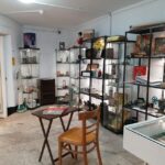 Museum of Ryde: Ticket to 250 Years of Ryde's History - Who Will Enjoy This Experience?