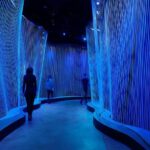 Museum of the Bible Admission Ticket - A Deep Dive into the Experience