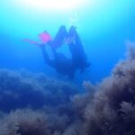 My first scuba dive in the Ocean from Madeira - What to Expect During the Experience