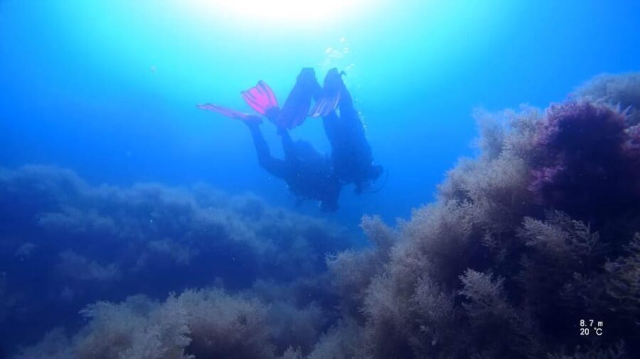 My first scuba dive in the Ocean from Madeira - What to Expect During the Experience