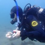 My First Scuba Dive into the Ocean from Terceira - Azores - FAQ About This Tour