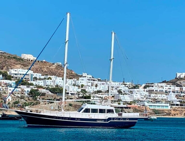 Mykonos: Delos and Rhenia Islands Cruise with BBQ Meal - The Practical Details: What You Need to Know