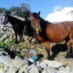 Mykonos Family Jeep Adventure: Farm, Winery and Beach Fun - The Itinerary Breakdown