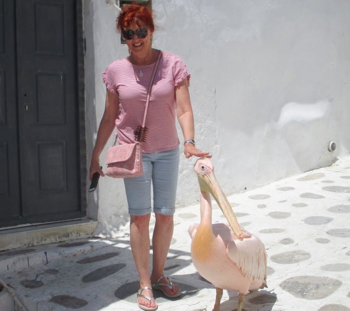 Mykonos: Guided Highlights Tour - The Value of This Tour