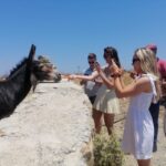 Mykonos: Highlights Tour with Panagia Tourliani Monastery - The Value in the Details