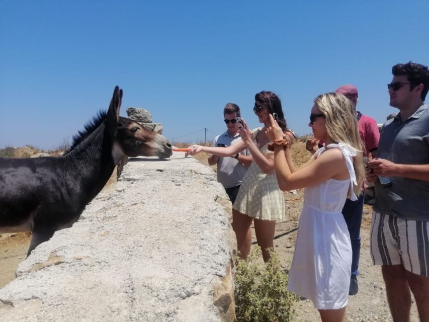 Mykonos: Highlights Tour with Panagia Tourliani Monastery - The Value in the Details