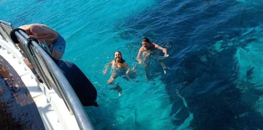 Mykonos: Little Venice and Agios Stefanos Cruise with Lunch - Who Will Love This Tour