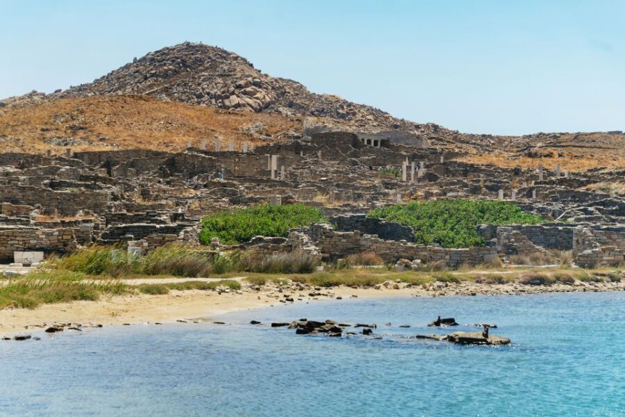 Mykonos Town: Archaeological Site of Delos Guided Day Trip - The Itinerary in Detail