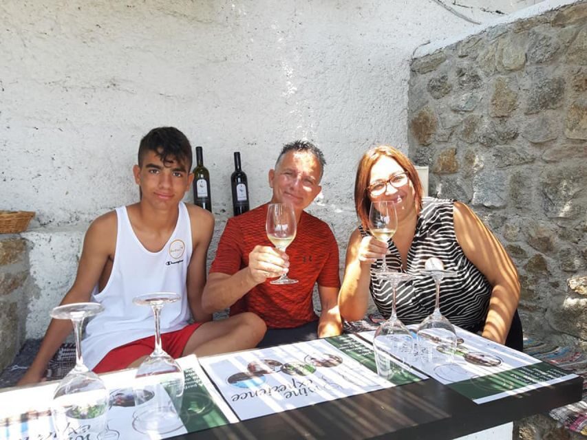Mykonos: Wine Tasting at a Mykonian Farm - How the Tour Is Organized