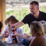 Mykonos: Winery Vineyard Experience with Food & Wine Tasting - Key Points