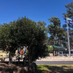 Myrtle Beach Military History Trolley Tour - What Makes This Tour Stand Out