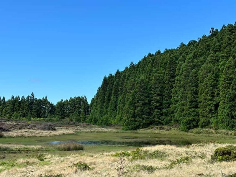 Mystery Tour of Terceira Island - The Experience and Atmosphere