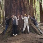 Mystical Rainforest Tour - Forest Magick - Who Should Consider This Tour?