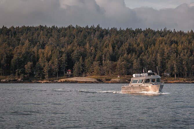 Nanaimo Whale Watching in a Semi-Covered Boat - Final Thoughts: Is It Worth It?