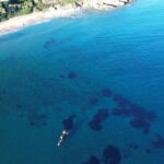 Naousa: Rineia, Delos, & Naxos Day Trip by Boat with Drinks - Who Is This Tour Best For?