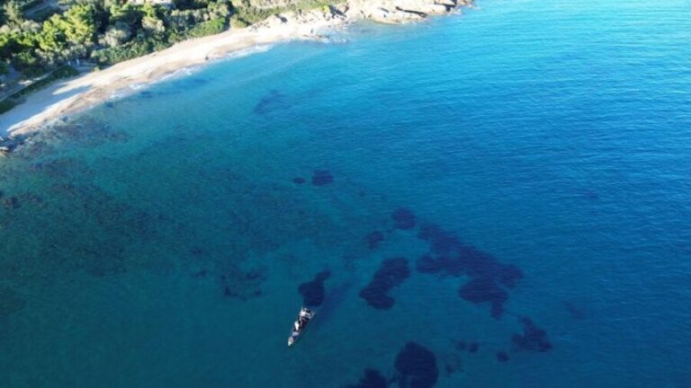 Naousa: Rineia, Delos, & Naxos Day Trip by Boat with Drinks - Who Is This Tour Best For?