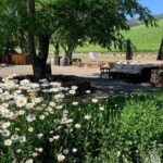 Napa & Sonoma Wine Tour | 6-8hr Private Fully Customized.*XL SUV - The Experience of Traveling with a Private Guide