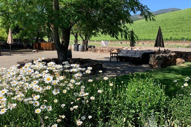 Napa & Sonoma Wine Tour | 6-8hr Private Fully Customized.*XL SUV - The Experience of Traveling with a Private Guide