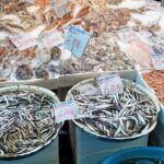 Naples historic center private tour with pizza lunch - The Practical Side