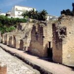 Naples: Pompeii, Herculaneum, and Vesuvius Tour by Minivan - Practical Aspects and Value