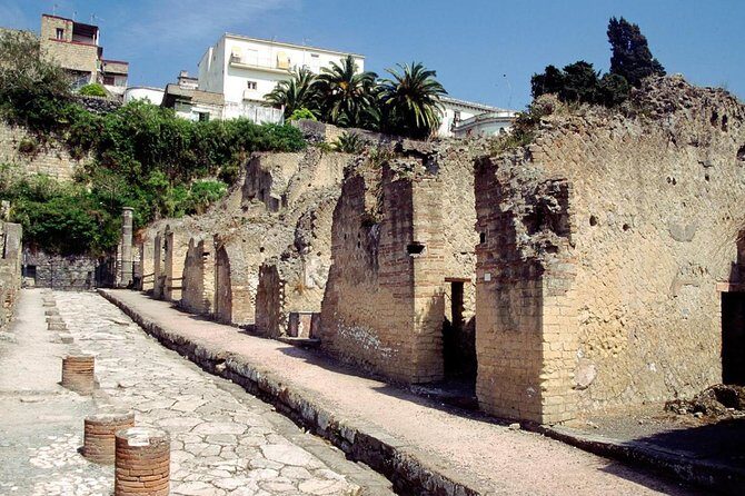 Naples: Pompeii, Herculaneum, and Vesuvius Tour by Minivan - Practical Aspects and Value