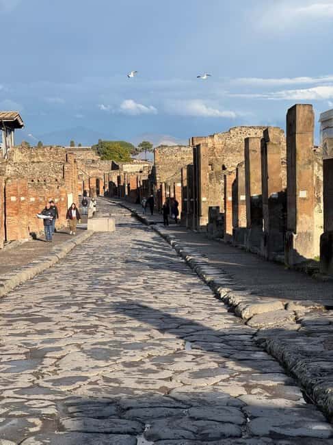 Naples & Pompeii in One Day  Winter Small Group Guided Tour - Who Will This Tour Suit Best?