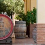 Naples: winery tour & wine tasting on Astroni crater - The itinerary in detail