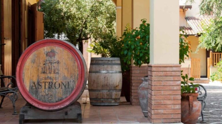 Naples: winery tour & wine tasting on Astroni crater - The itinerary in detail