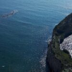 Napoli Sight Eating Walk: Food and Sight Tour - Walking the Streets and Local Insights