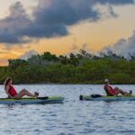 National Park Pedal Kayak Tours in New Smyrna Beach - What to Expect from the Kayak Tour