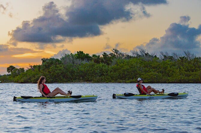 National Park Pedal Kayak Tours in New Smyrna Beach - What to Expect from the Kayak Tour