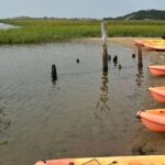 National Seashore Tour with Guided Hike - The Itinerary in Detail: What You Can Expect
